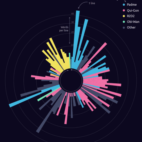 Circular barplot with custom palette